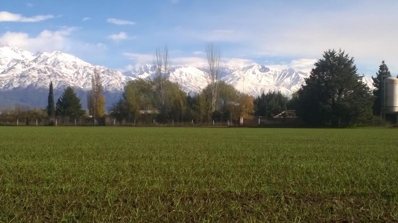 Casa De Campo Finca La Superiora La Consulta Dış mekan fotoğraf
